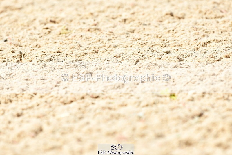 230702A-160408-11095 - Cls 37 + 42 FEI PSG + GP