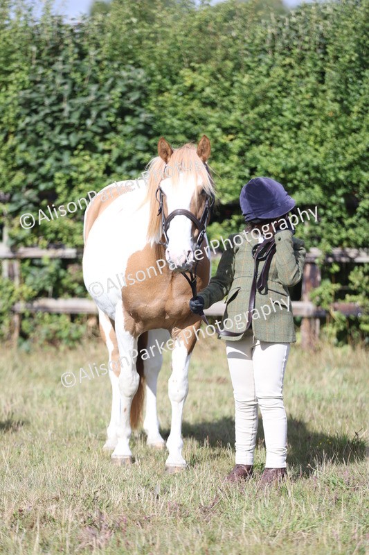 20250831-1528 - Class 21 - Inhand Open