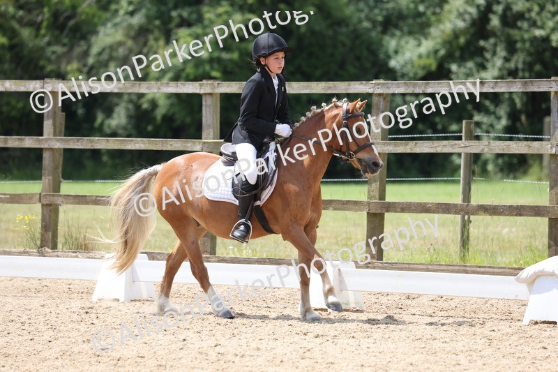 20250614-0613 - Class 5 - Novice 3