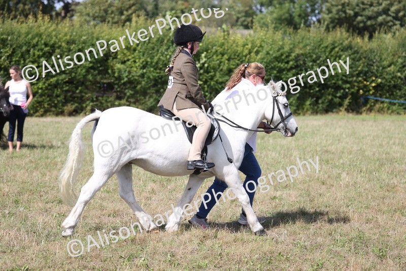 20260906-3036 - Class 18 - Childs First Pony