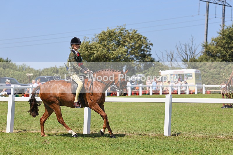 IMG_2131 - Plaited Ridden Championship