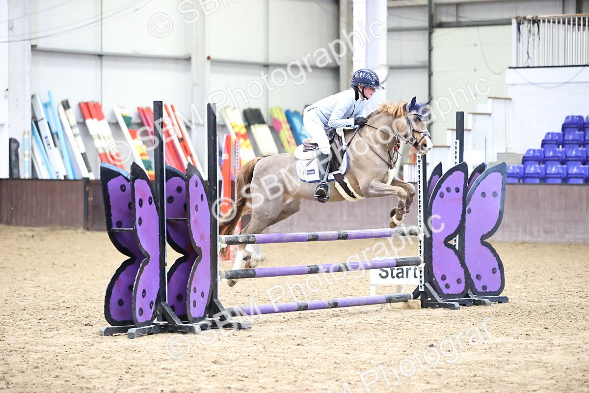 SBM_001508 - Class 9 - Pony British Novice 80cm