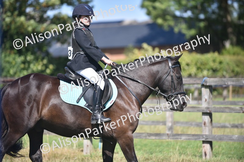 20260906-1700 - Class 9 - Absolute Novice Jumping 45cm