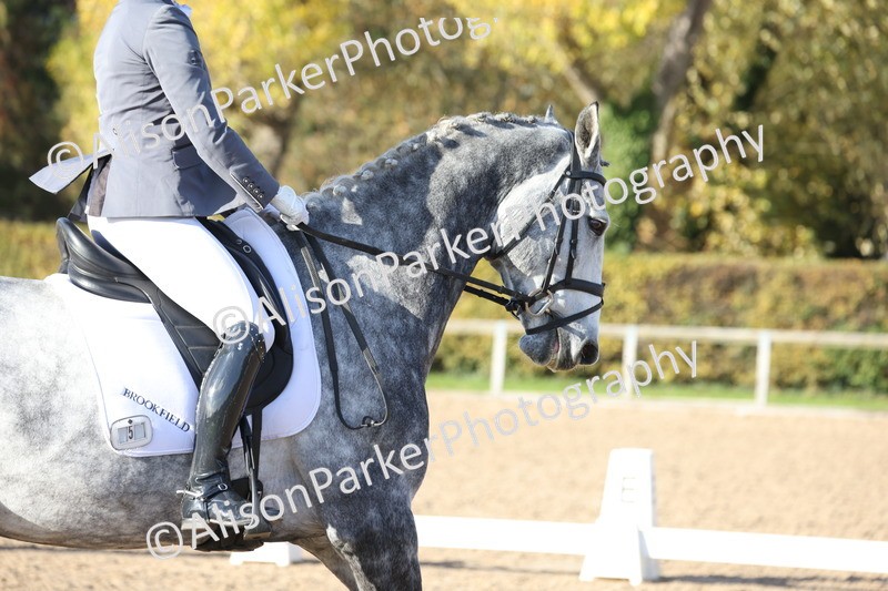 20251102-1168 - Class 6 - Elementary 6