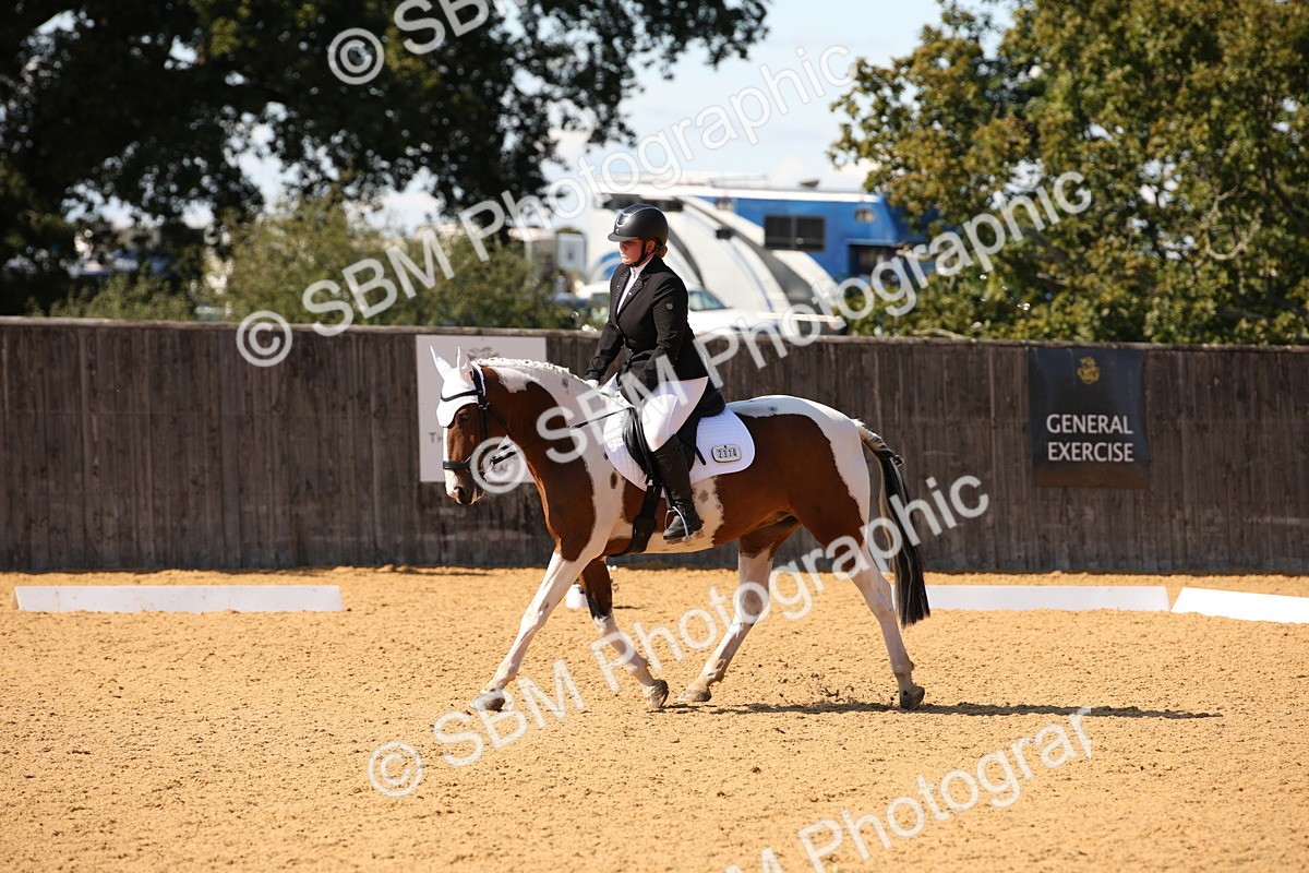 SBM_24205 - D5 - Small Tour Championship - Intro C