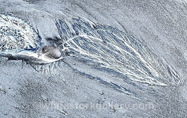  - The Sand Gallery