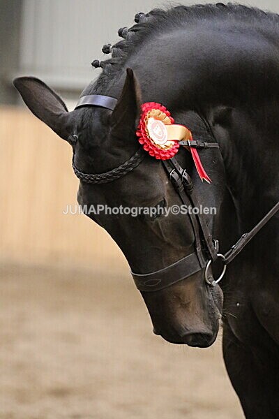 SIAL2769 - Sunday 14th Ridden