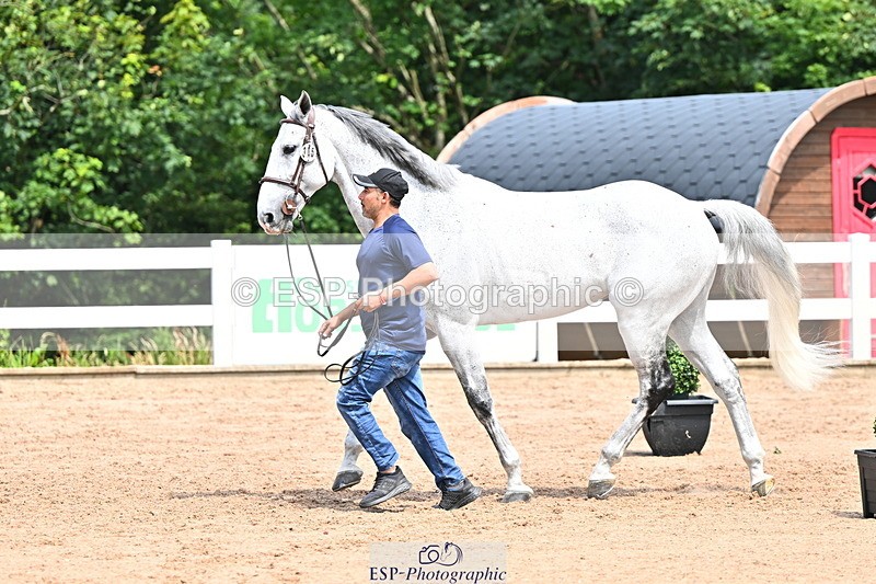 240718A-105255-01325 - Trot Up 12pm to 1pm