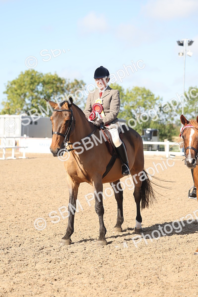 SBM_22339 - Class 803 - Ridden Combination 65+