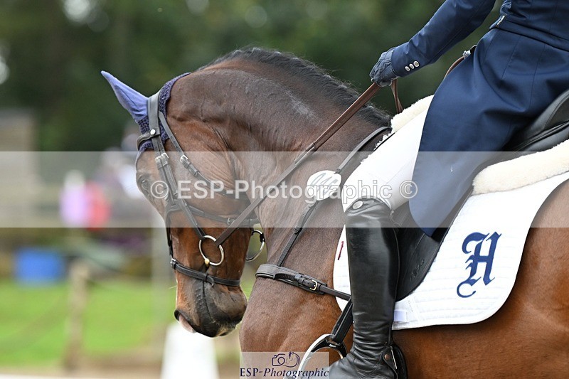 231019-122958-02788 - 045-HILDARE.REGARDE.MOI-Danielle.Mccormack-DR