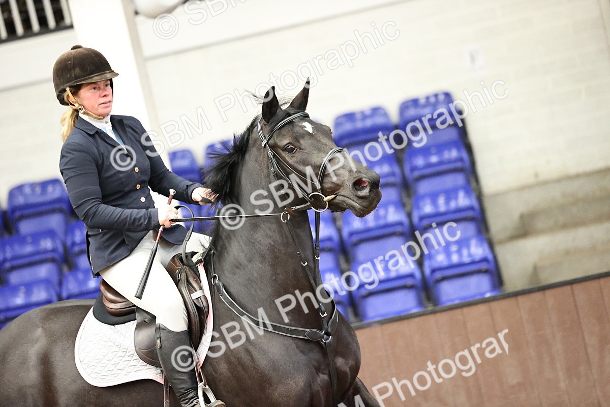 SBM_006272 - Class 16 - Senior Newcomers - 1.10m Open