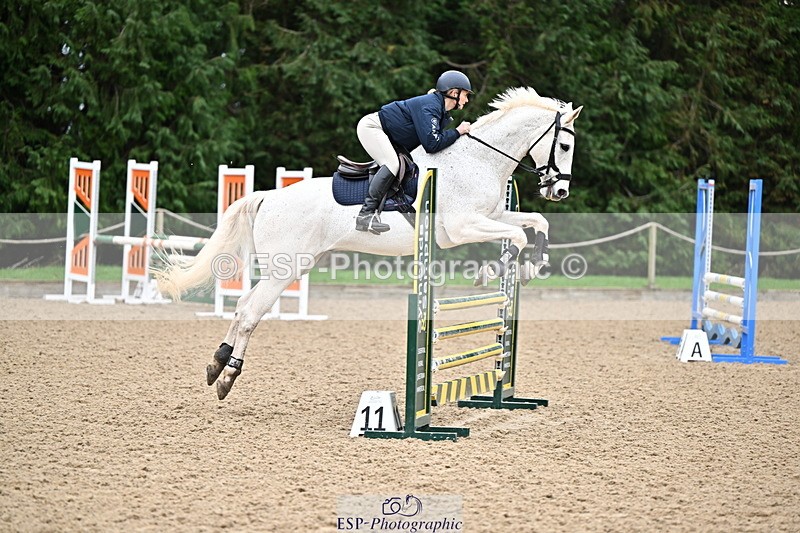 250201A-101910-00197 - Cls 01 Local Horse 90cm