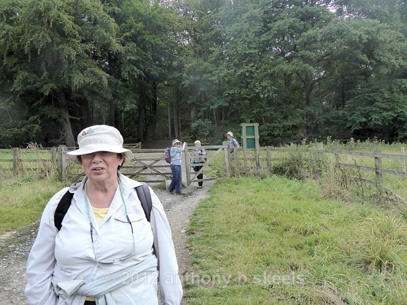 067 Turning for home and the Muddy Boots Cafe - York Minster Walkers Collection 2025