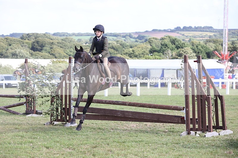 JPP_2789 - Class 20: Working Hunter 70cm