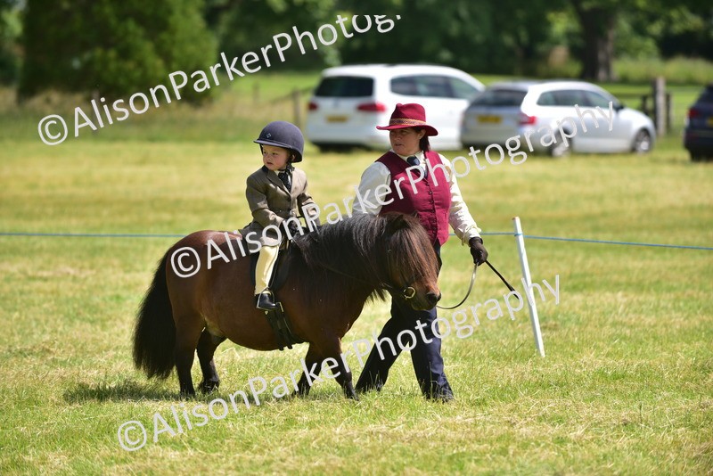 20260614-1110 - Class 11a - Lead Rein Pony (Unplaited)