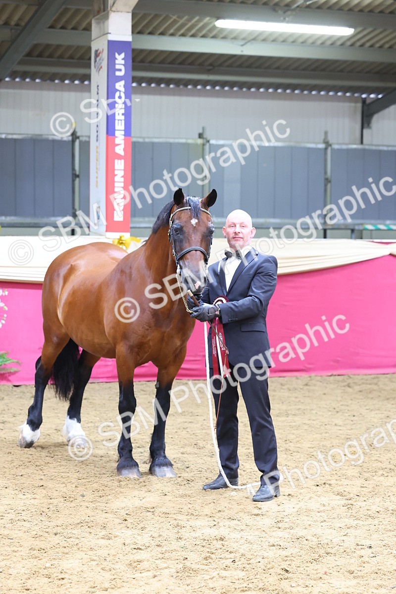 SBM_22961 - Class 903 - Supreme Final - IH Pre Vet