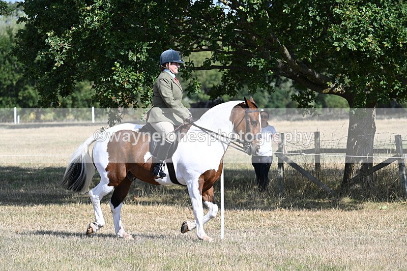 WJ7_2790 - Class 8 Ridden Tack & Turnout