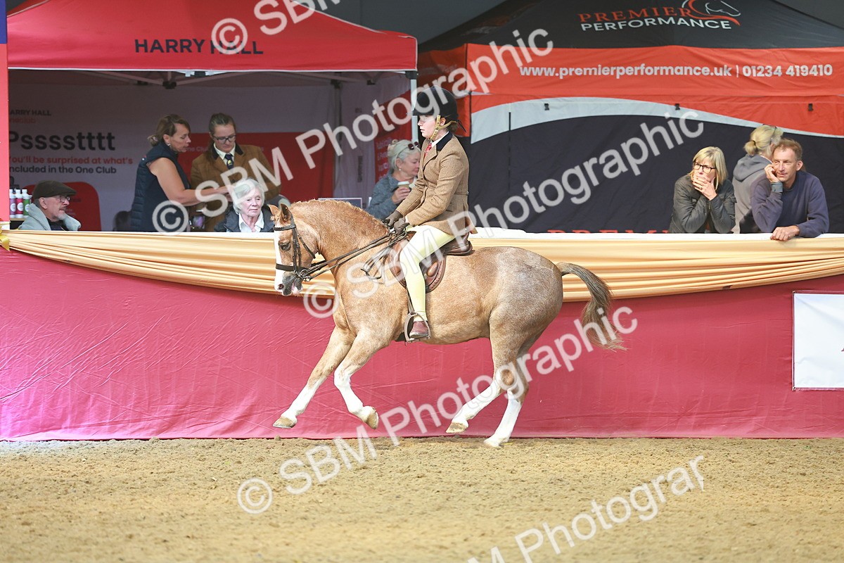 SBM_12515 - Class 103 - HOYS Veteran Qualifier - Ridden Pre Vet