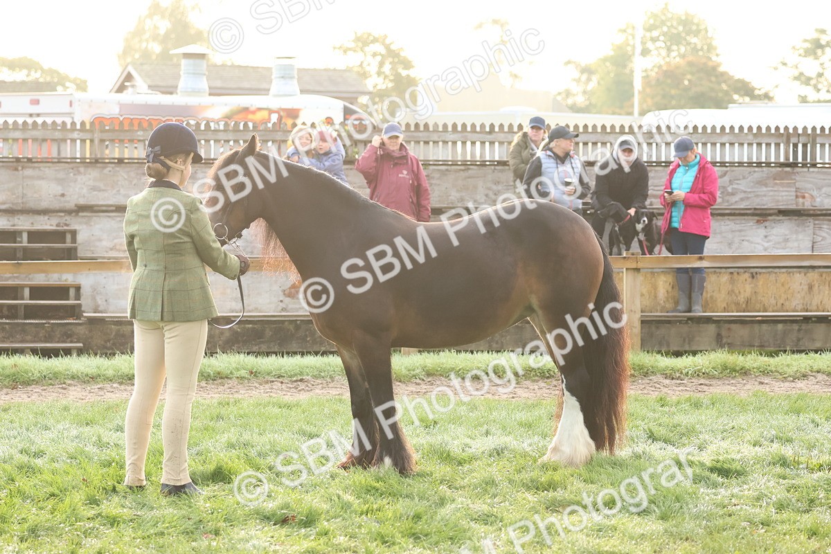 SBM_54521 - S38 - Starters Best Turnout