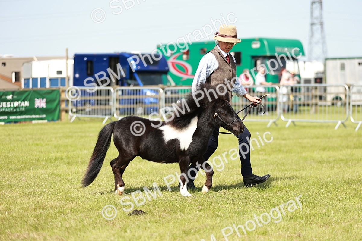 SBM_01901 - Class 14-23 - Mountain & Moorland In Hand Non Welsh