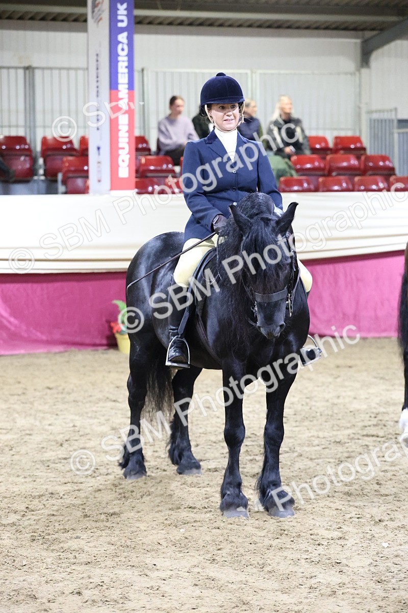 SBM_21403 - Class T - Working Veteran Champs