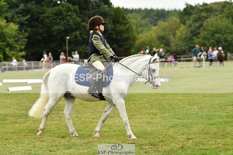 250820A-114107-05206 - 11am to 12