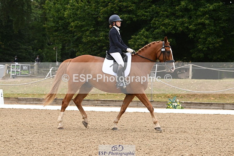 250720A-103142-09573 - 104-Molly.Northmore-Pennmoor.Liberation