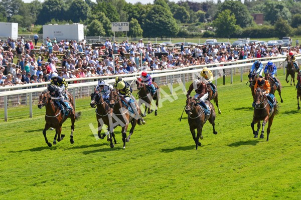 160623-Race 2-Celestial Flight-6165 - Race 2 2.25pm SKF Rous Selling Stakes