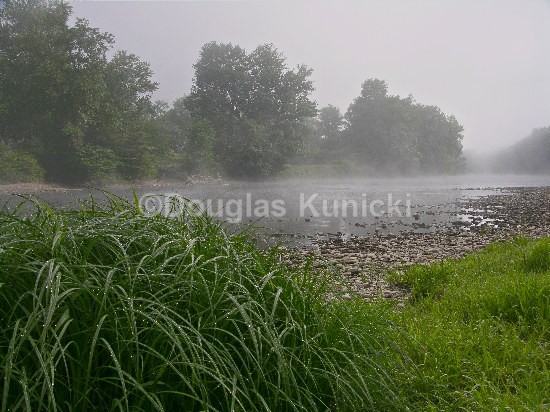 Allegheny Fog - Allegheny National Forest
