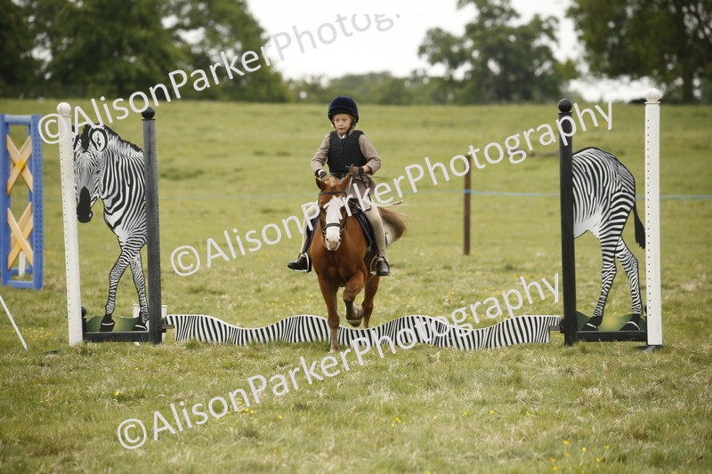 20250517-0968 - Class 2 - 30cm Off Lead Rein