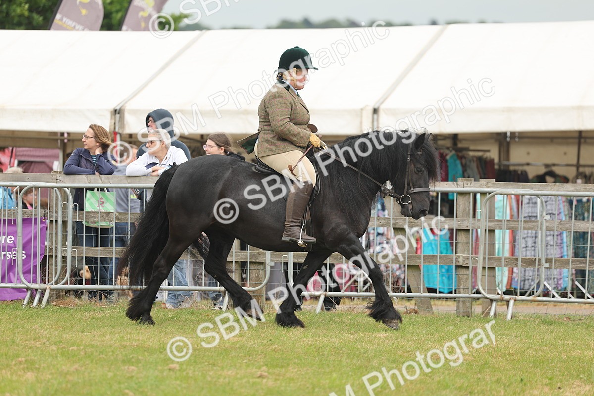 SBM_08916 - Class 78-80 - Ridden M&M Non Welsh Ponies