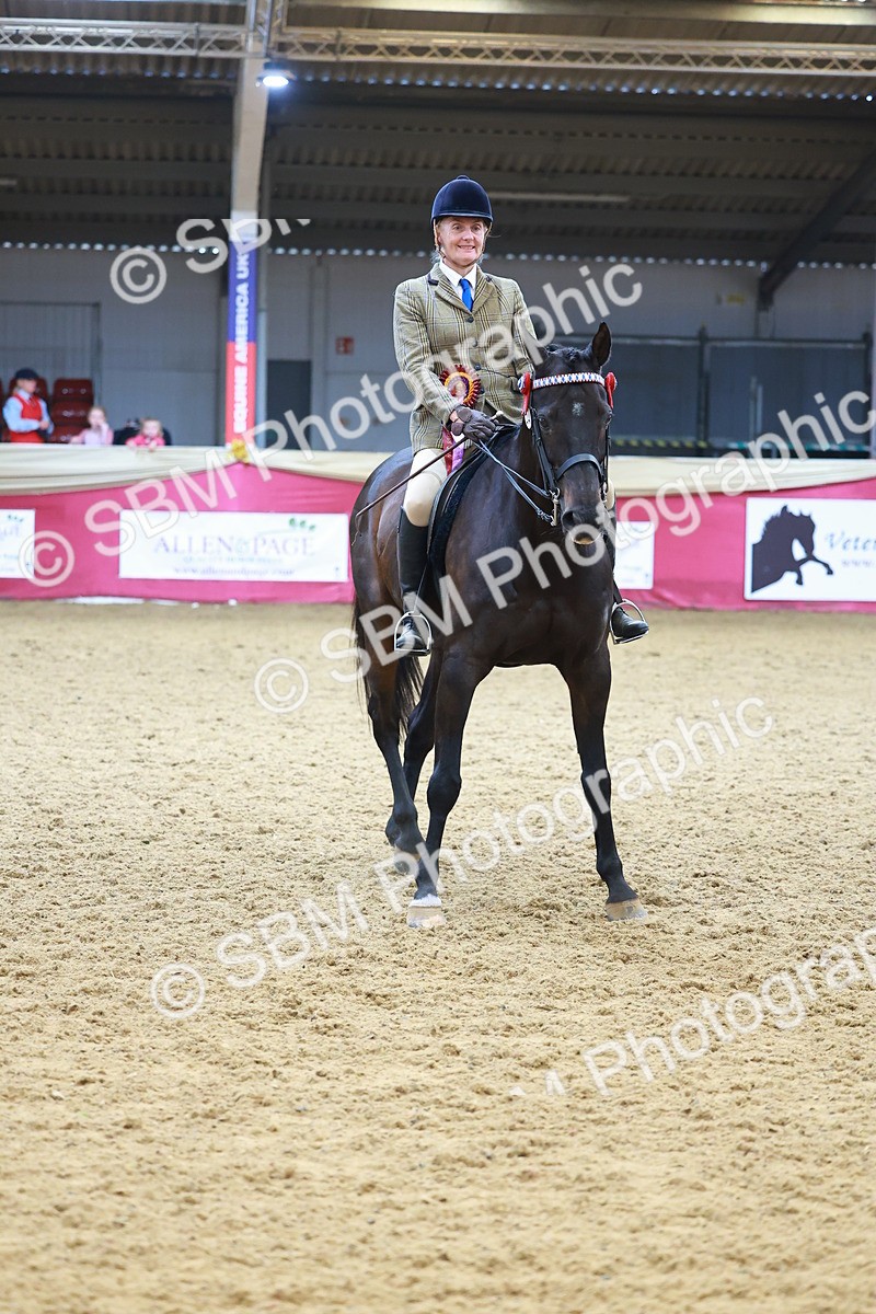 SBM_09871 - Class 102 - HOYS Veteran Qualifier - Ridden Veteran