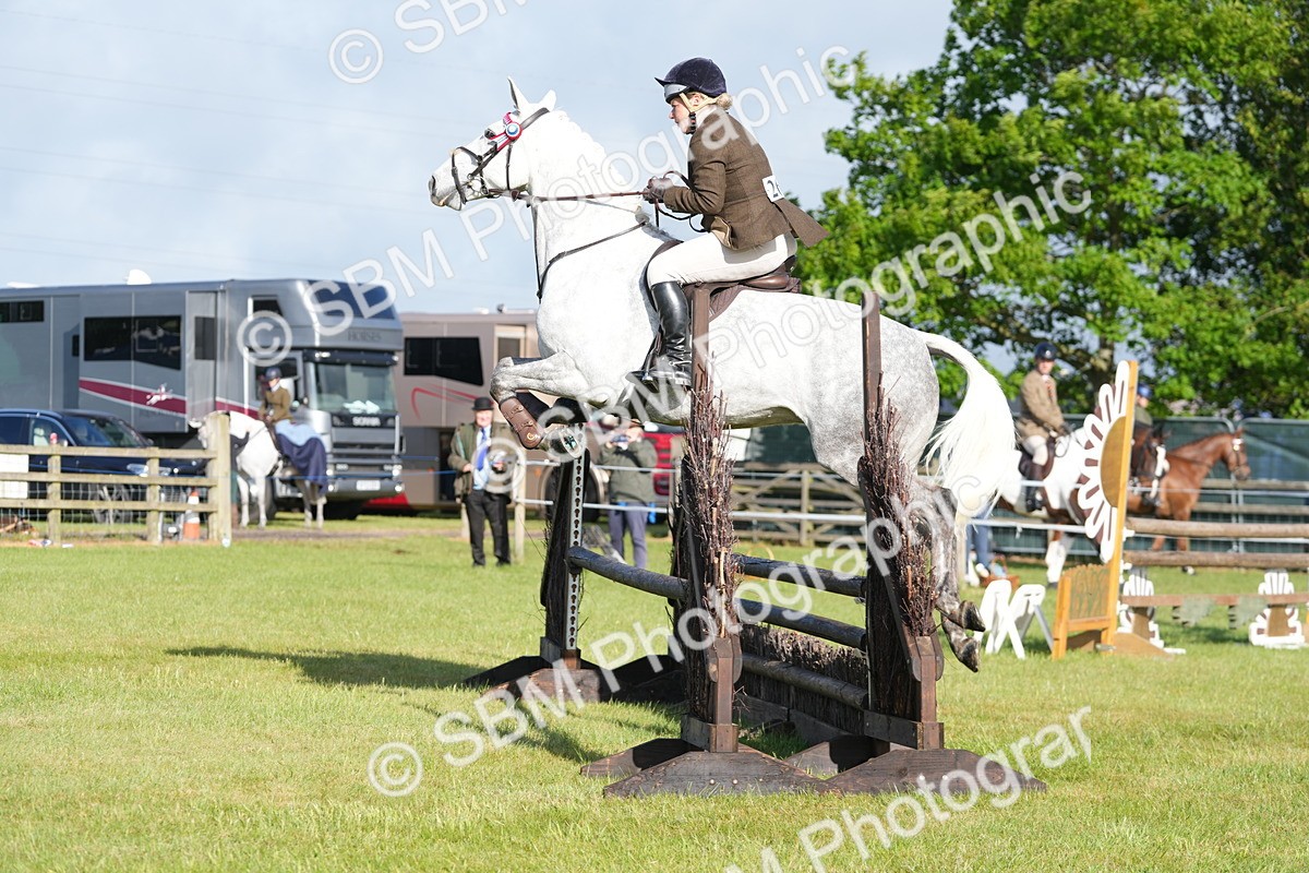 SBM_10499 - Class 97-98 - LIHS BSHA Rising Star Working Show Horse Hunter