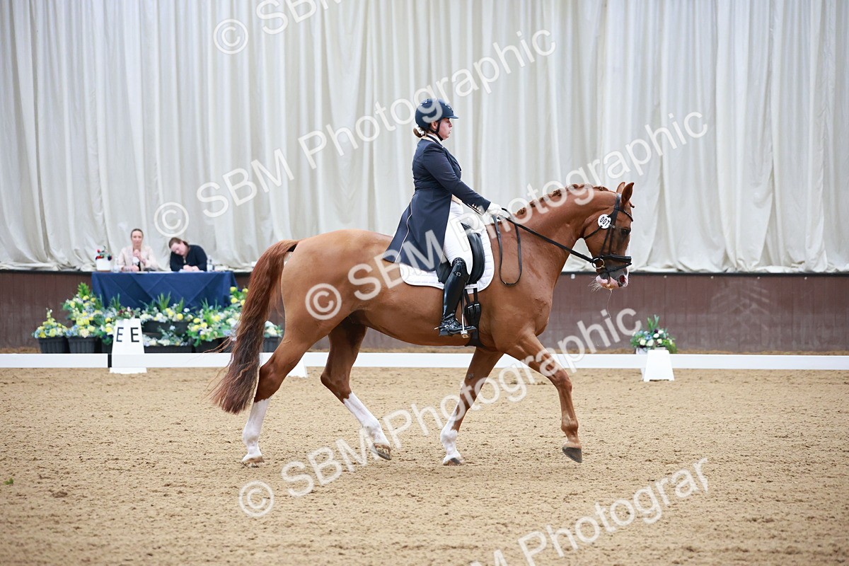 SBM_008687 - Class 14 - FEI PSG - 9.30-10.30