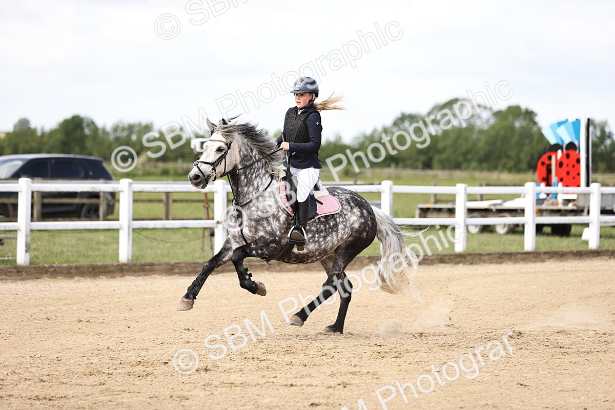SBM_007247 - Class 2 - 80cm showjumping