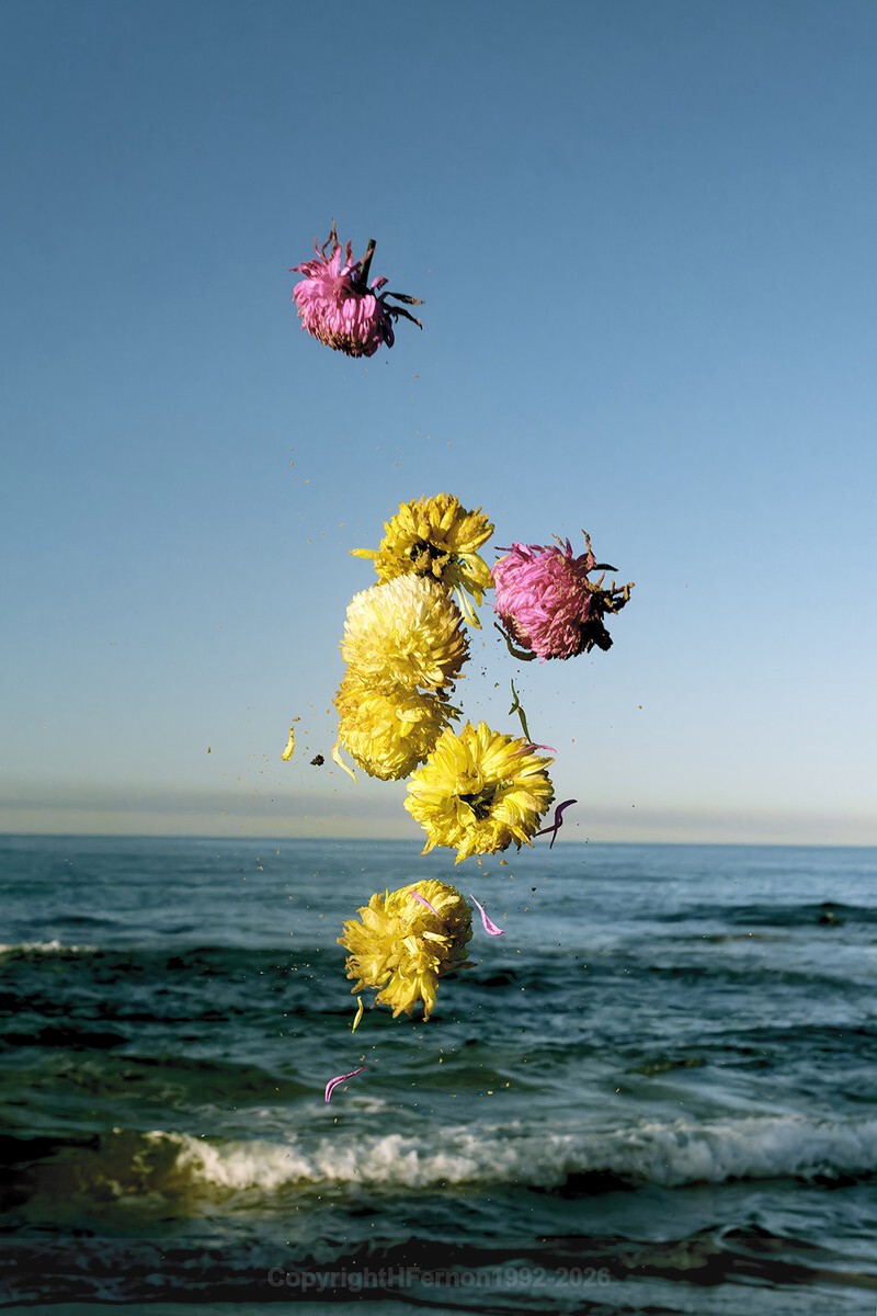 ENTROPY TRIPTYCH l-lll - ENTROPY 2023