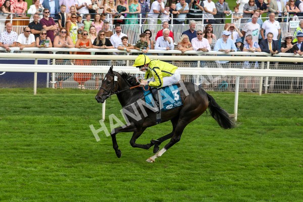 100923-Race 4-Tropical Island-3914 - Race 4 3.15pm Edge Windows Nursery Handicap at York