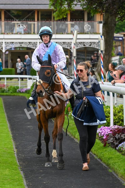 250524-Race 4-Term Of Endearment-3659 - Race 4 3.20pm William Hill Bronte Cup Fillies' Stakes