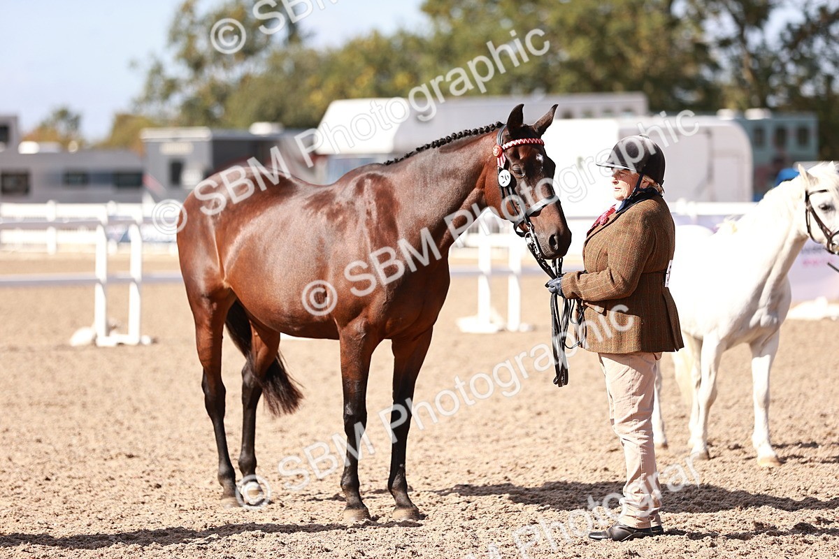 SBM_22802 - Class 705 - IH Combination 65+