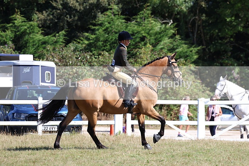3E7A5824 - Class 5: Working Hunter 90cm