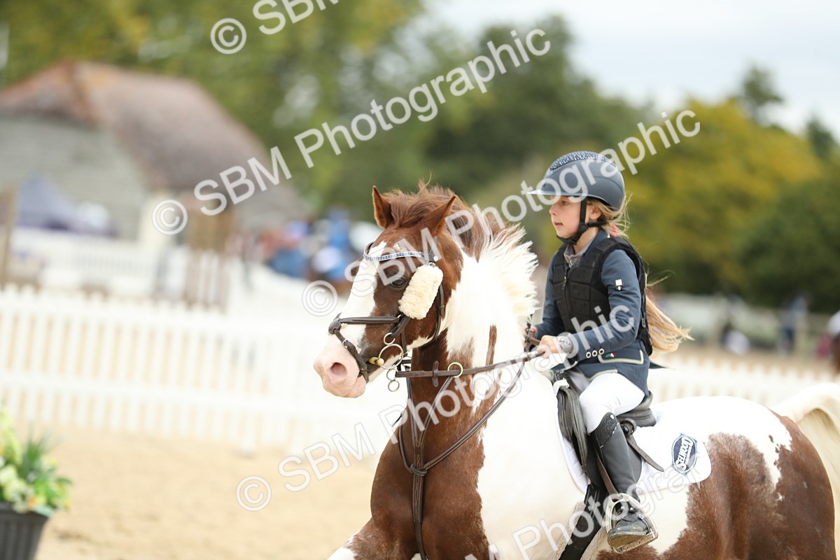 SBM_67866 - J15 - Junior Pony 70cm Championship
