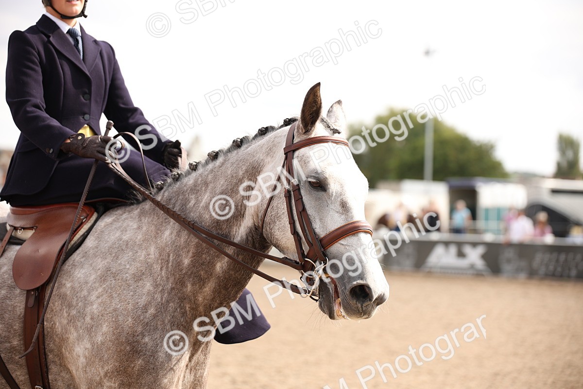 SBM_06769 - Class 24 Concours d'elegance