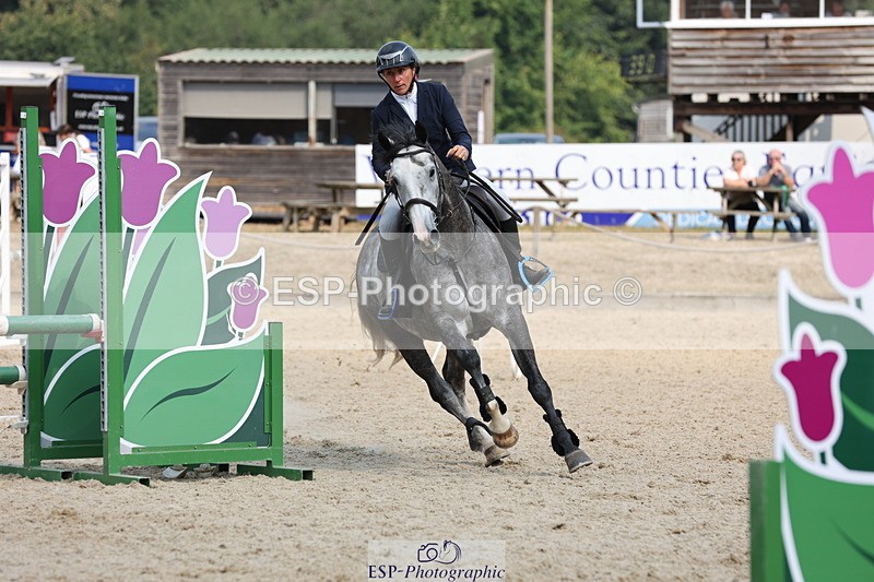 250816A-110317-00948 - Cls 3 Snr British Novice