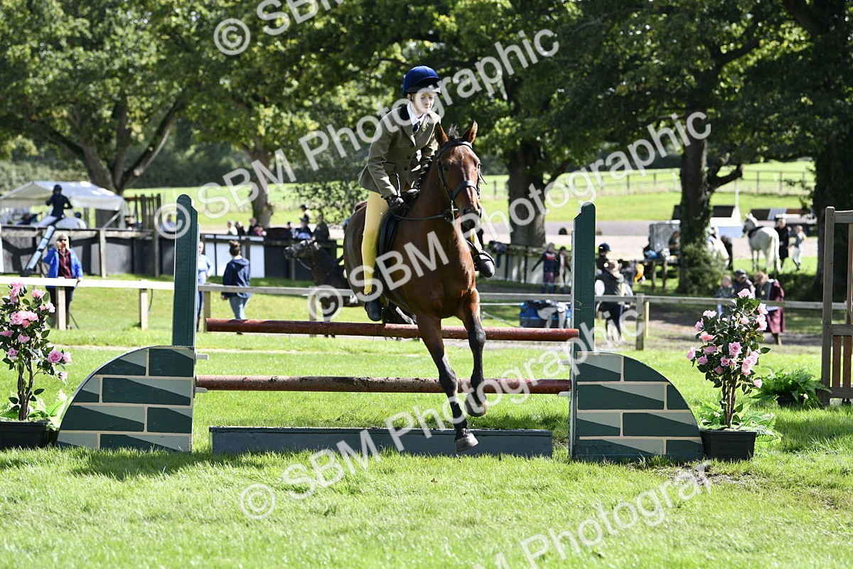 SBM_45715 - S33 - Working Hunter Pony