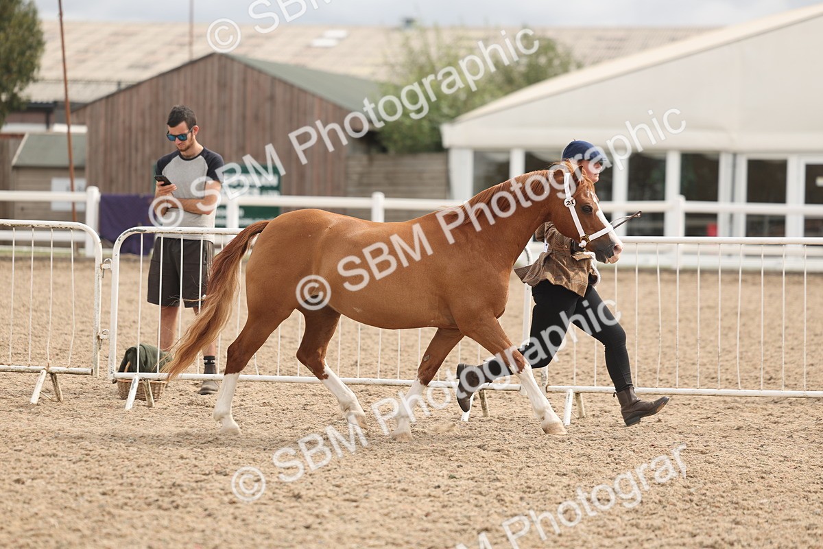 SBM_04962 - Class 20 - IH Veteran