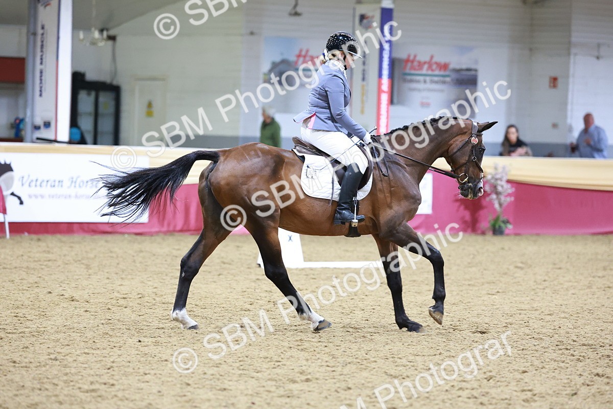 SBM_09780 - Class 61 - Dressage to Music