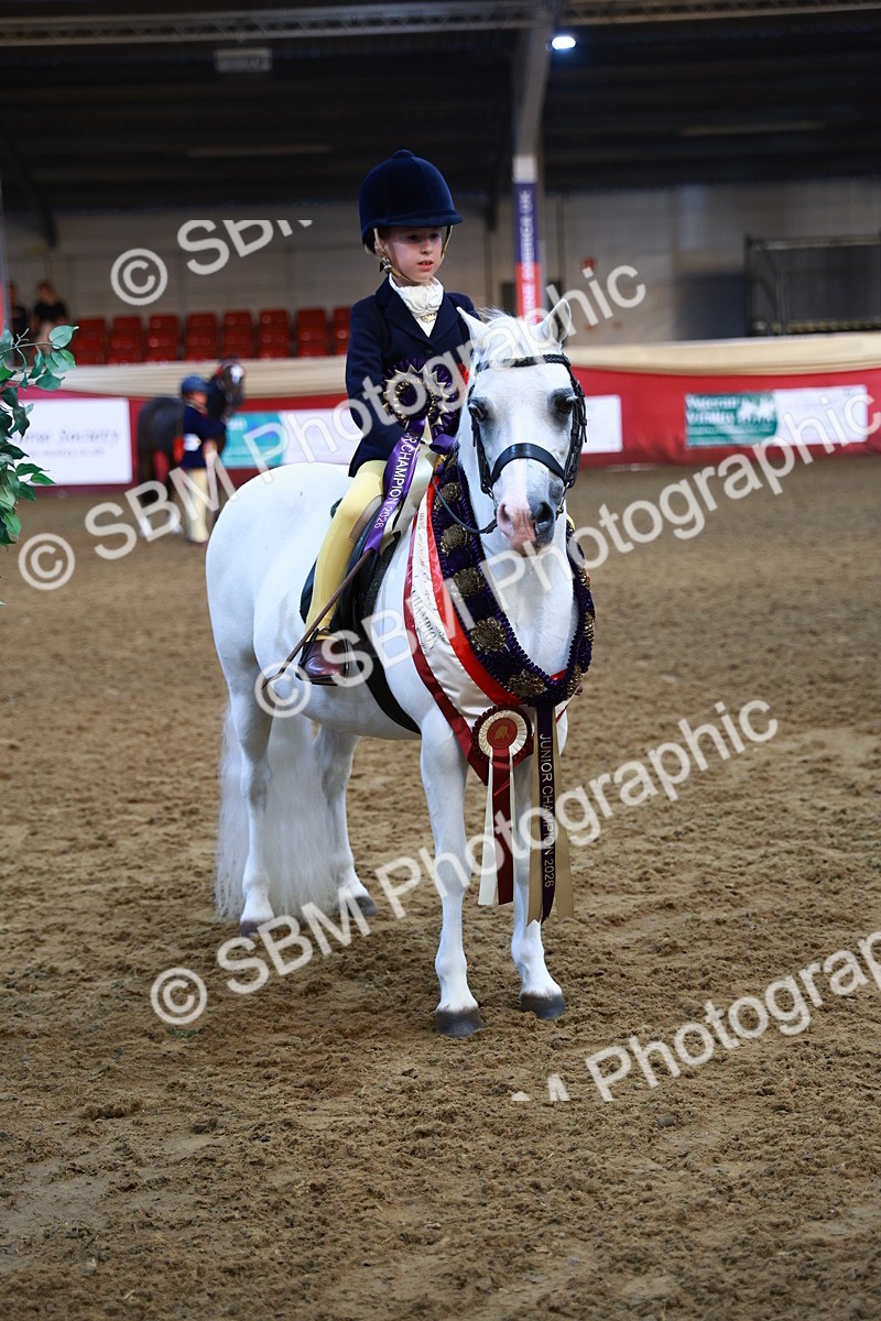 SBM_14629 - Class A - Junior Champ 10 year and Under