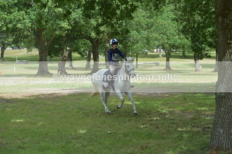 NGP_7861 - Time 11:28 to 11:38