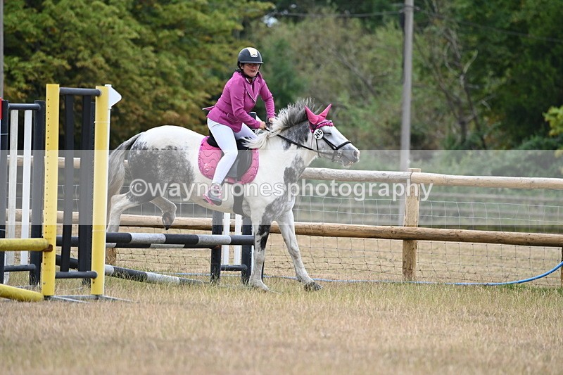 WJ6_0335 - Class 13 Novice Jumping 60cm
