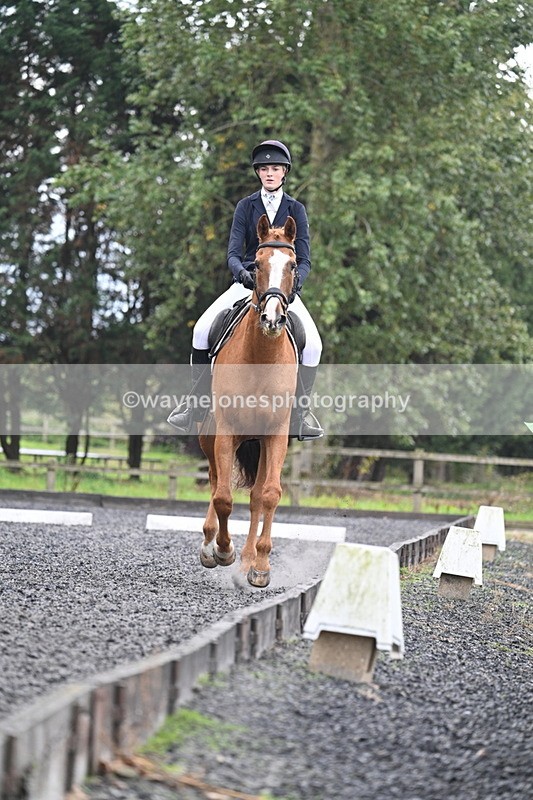 WJ7_6677 - Time 14:49 to 15:14